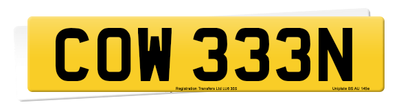 Registration number COW 333N